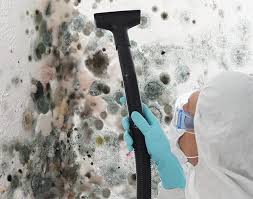 Reliable Lake Bluff, IL Mold Removal & Remediation Solutions